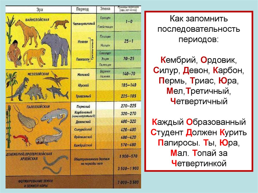 Эры и периоды презентация