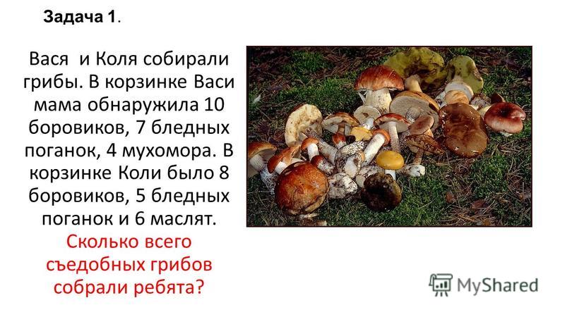 К чему снится сон собирать грибы много. Задача про грибы. Пожелание о сборе грибов. Собирать только известные грибы. Пять грибов.