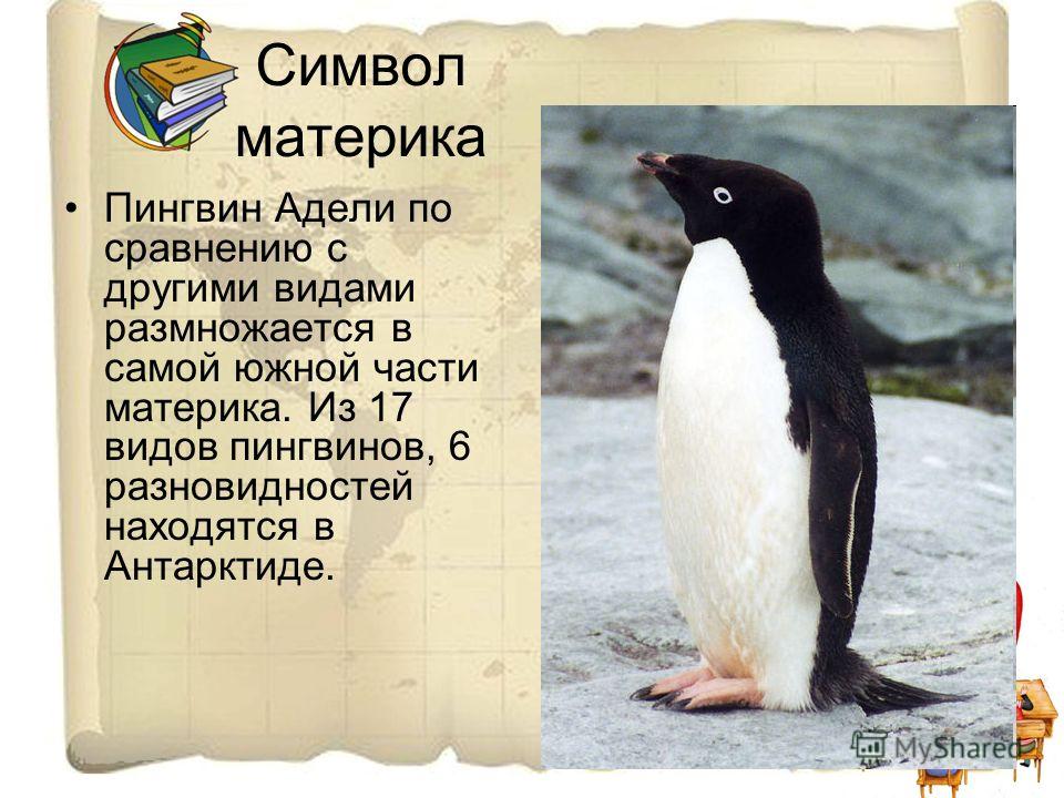Символ пингвин: Пингвин Эмоджи, Номер в Юникоде: U+1F427, Птицы в Разделе Природа и животные 📖 узнать значение и ✂ скопировать смайлик (◕‿◕) SYMBL