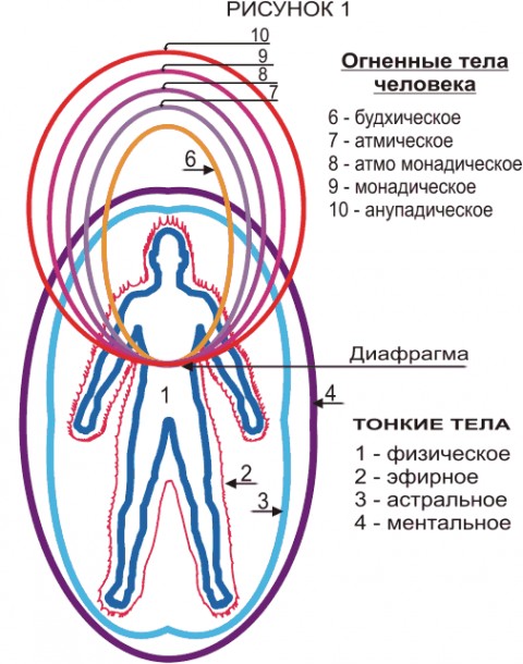 Эфирное тело: Читать онлайн «Методы общения с эфирным телом человека», Роман Петрович Сосков – Литрес