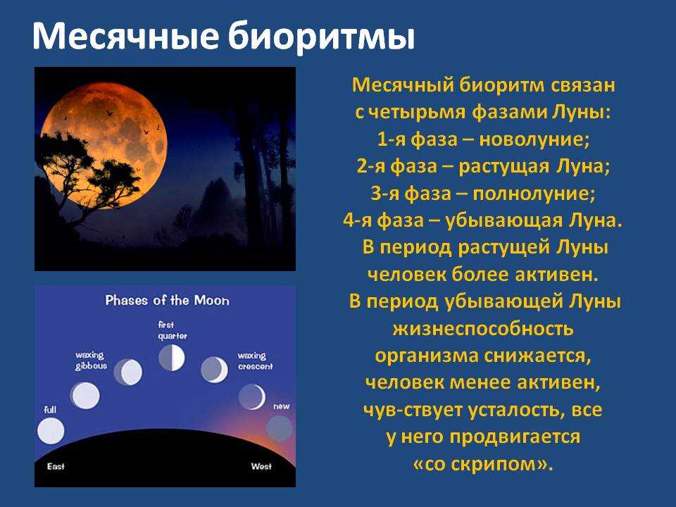 Полнолуние здоровье. Месячные биоритмы. Биологические ритмы лунные. Влияние Луны на солнце. Влияние фаз Луны.